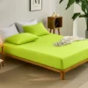 Parrot Green