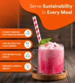 Biodegradable Paper Straws