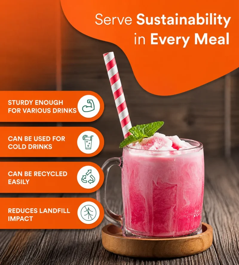 Biodegradable Paper Straws
