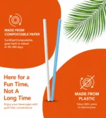 Biodegradable Paper Straws