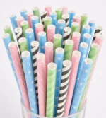 Biodegradable Paper Straws