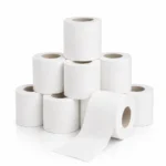 Snow White 2 Ply Toilet Rolls 40g | Pack of 1 Roll