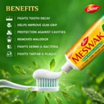 Dabur Meswak Herbal Freshness Benefits
